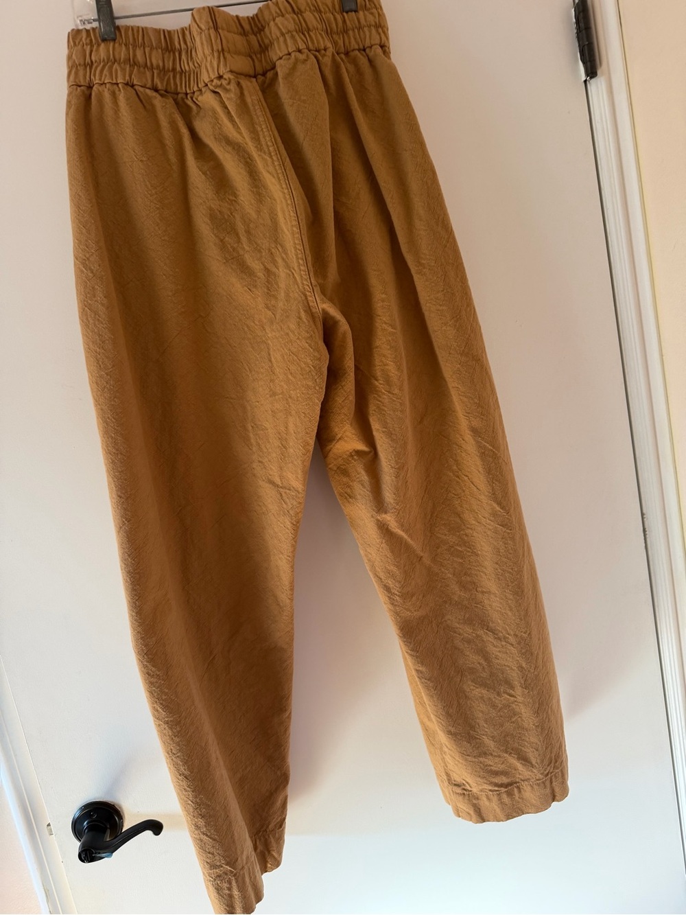 Everlane THE CANVAS ORGANIC COTTON PULL-ON PANT - Picture 11 of 11